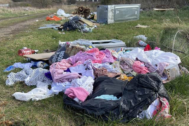 Fly tipping at the rear of West View Road, in Hartlepool, earlier this year. Picture by FRANK REID.