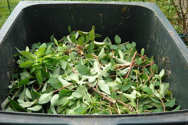 Hartlepool Borough Council's household garden waste collections resume today - Tuesday, May 26.
