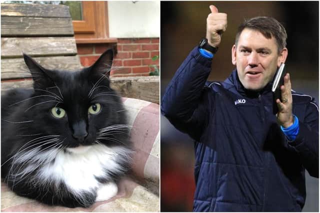 Hartlepool United manager Dave Challinor and Jeff Stelling's pet cat namesake.