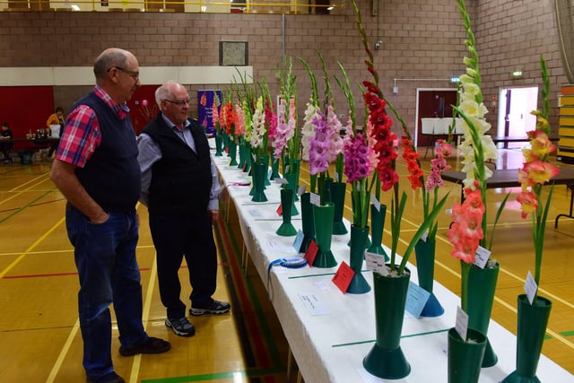 There was plenty to admire at the horticultural show.