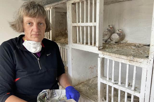 Hartlepool Wildlife Rescue member Maria Rafferty is pictured cleaning a cage.