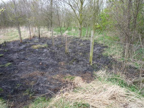 Damage caused by fires at Summerhill Country Park in a previous year