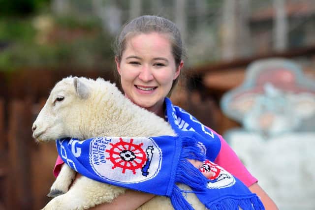 Lauren Francis with Oatesy the lamb sporting is Hartlepool scarf for his first prediction. Picture by FRANK REID