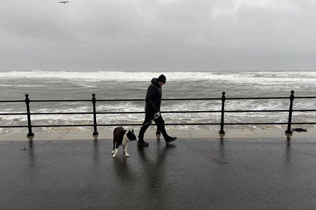 A man and his dog face the wind during a walk on the Headland.
