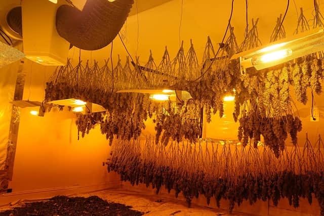A photo shared by Hartlepool Neighbourhood Policing Team of inside the cannabis farm in St Paul's Road.