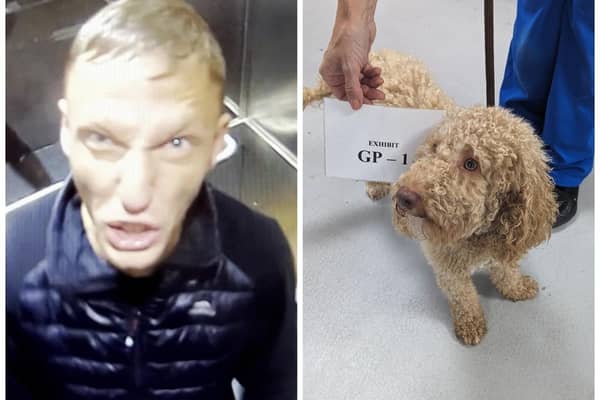 Thomas Hardy, 32, from Billigham and the female Cockapoo he was caught physically abusing on CCTV. Photos: RSPCA