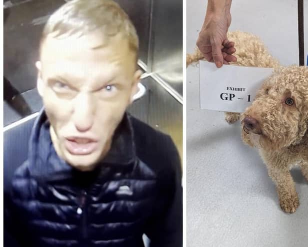 Thomas Hardy, 32, from Billigham and the female Cockapoo he was caught physically abusing on CCTV. Photos: RSPCA