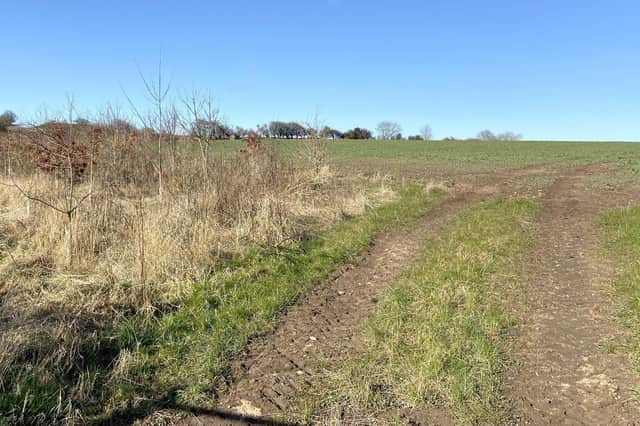 Part of the site of the potential solar panel farm off Worset Lane, near Hart village. Picture by FRANK REID