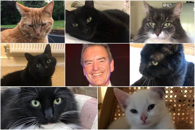 Jeff Stelling with six of his pet cats (clockwise) Gilbert, Diesel, Duchess, Jet, Bert, Dave Challinor and Pilchard.