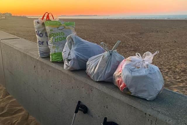 Scott Robson and his sister Gemma collected five bags of rubbish in 90 minutes from Seaton beach at the end of May.