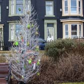 A Christmas tree in Redheugh Gardens at the Headland.