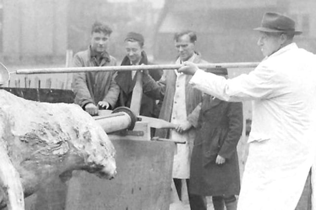 The Hartlepool celebrations included an ox roast on the Bull Field. Photo: Hartlepool Museum Service