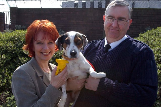 A god micro-chipping scheme launched in 2003. Pictured are Denise Gilgallon, from the NCDL, dog warden Mick Lapworth, from Hartlepool Borough Council, and Potsy the dog.