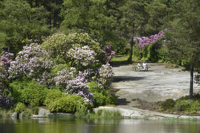 Spring is the perfect time to visit Cragside, as the rhododendrons will be in bloom. A great day out enjoying the fresh air and beautiful views at this National Trust site.