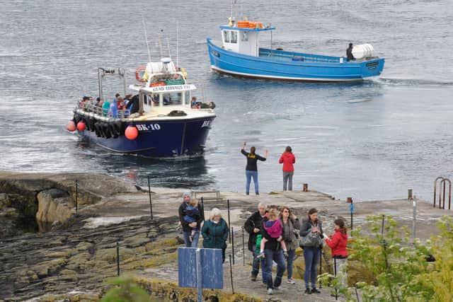 Boat trips to the Farne Islands.
Picture by Jane Coltman
