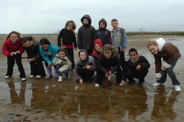 Lynnfield Primary School pupils took a trip to the North Gare in 2010.