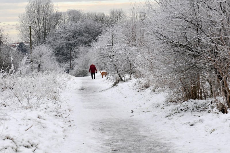 A dog walker enjoys the snow in the Family Wood in 2013.