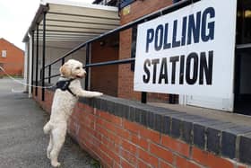Gino the cockapoo waiting eagerly to vote outside Hartlepool United Supporters' Club at a previous election.