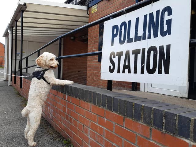 Gino the cockapoo waiting eagerly to vote outside Hartlepool United Supporters' Club at a previous election.