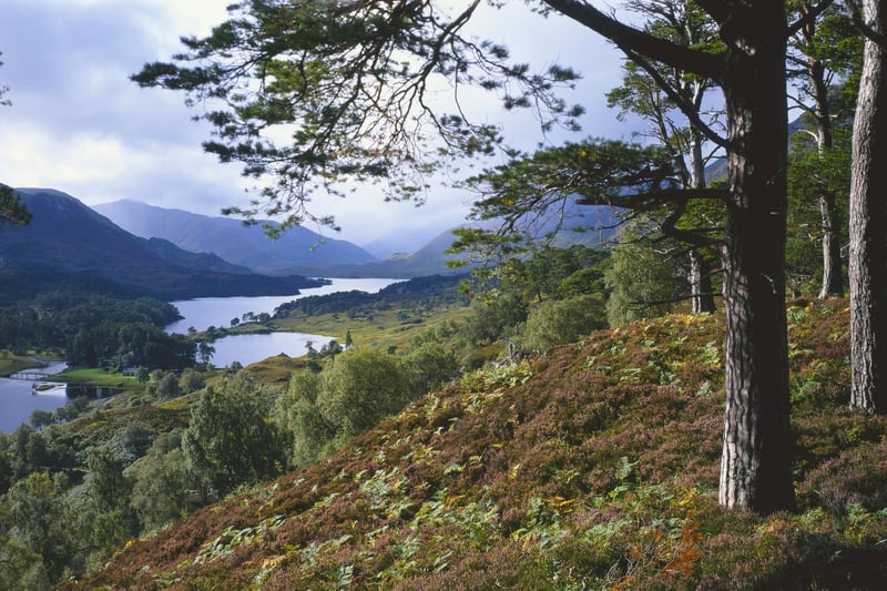 This remote glen in the Highlands, about 25 miles from Beauly, contains acres of ancient woodland surrounding the picturesque Loch Affric. Follow the banks of the loch for a beautiful circular walk surrounded by mountain.