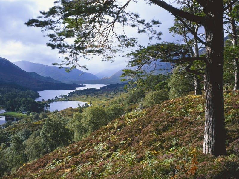 This remote glen in the Highlands, about 25 miles from Beauly, contains acres of ancient woodland surrounding the picturesque Loch Affric. Follow the banks of the loch for a beautiful circular walk surrounded by mountain.