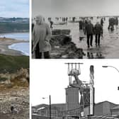A woolly rhino, extinct species of elephant and a piece of quartzite were all discovered in Hartlepool and East Durham.