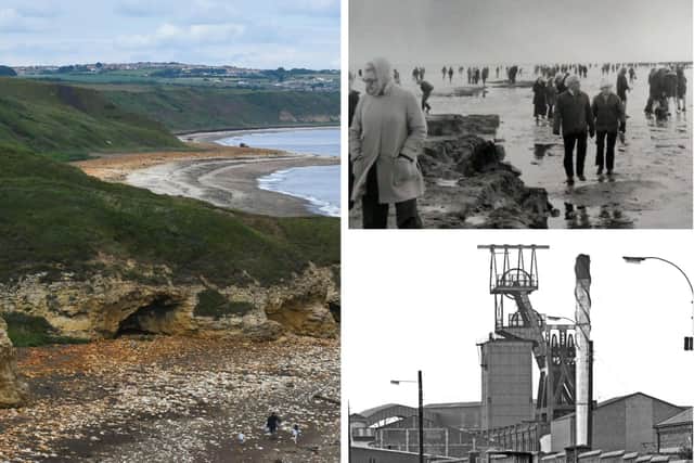 A woolly rhino, extinct species of elephant and a piece of quartzite were all discovered in Hartlepool and East Durham.