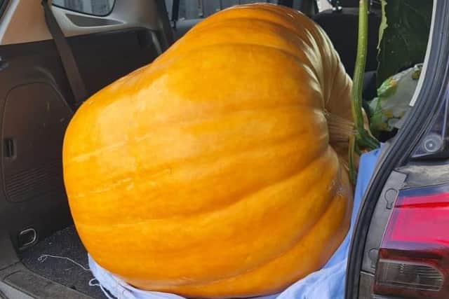 It took four people to lift the huge pumpkin and load it in the car.