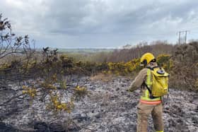The fire service warns about the risk of wildfires over the weekend.