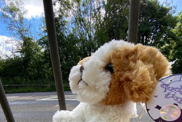 Teddy bears have also been left following the tragic death of a three-year-old girl