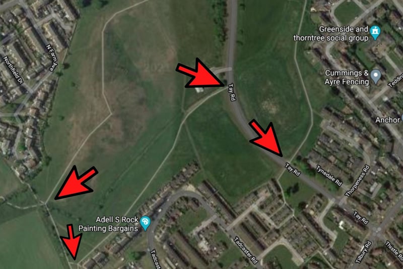 At the bottom of the hill, turn left and left again, following the tarmac path along the back of the houses until you reach Tay Road. Cross over and enter the park on the left-hand side.