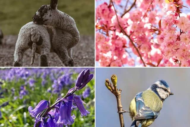 10 lovely spring photos taken in Doncaster.
