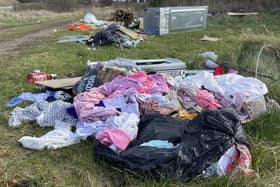 A library picture from 2023 of fly tipping at the rear of West View Road, in Hartlepool.