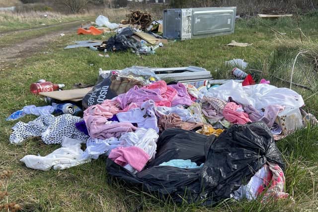 A library picture from 2023 of fly tipping at the rear of West View Road, in Hartlepool.