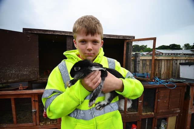 John Hayes, 13, with one of his rabbits. Picture by FRANK REID