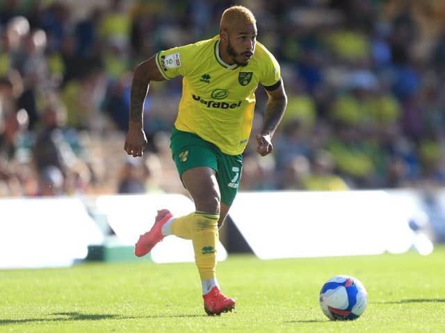 Onel Hernandez playing for Norwich.