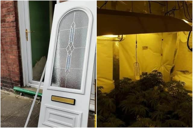 Hartlepool Neighbourhood Policing Team raided a property on Rugby Street where officers shut down a cannabis farm. 
Image by Cleveland Police.