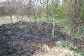 Scorch marks after previous fires at Summerhill Country Park, which has been a target for deliberate fires a number of times in recent years.