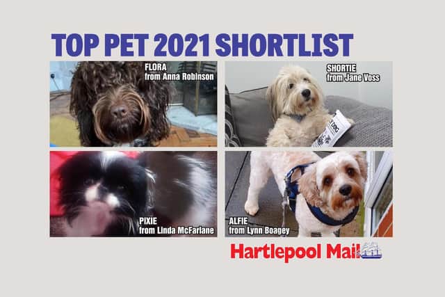 Who will get your vote to be crowned Hartlepool Mail Top Pet champion?