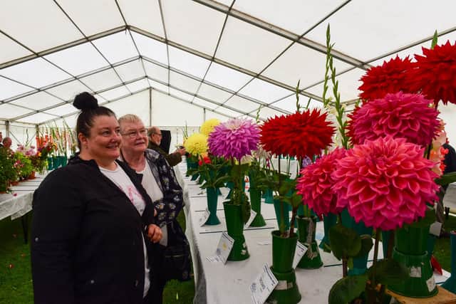 Andrea and Vivienne Hogan admire some of the blooms at the Hartlepool Hortricultral Show, Rift House Recreation Ground, on Saturday.