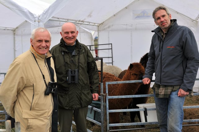 David Ward and Steven Lock learn about alpacas from Doug Steen during the spring event held at RSPB Saltholme in 2013.