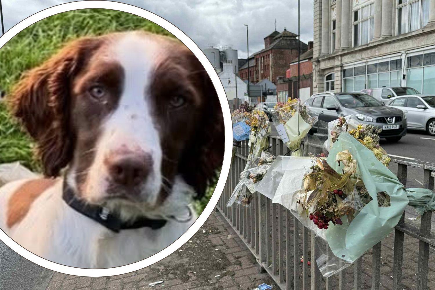 Hartlepool drink driver involved in 'tragic' crash that killed ...