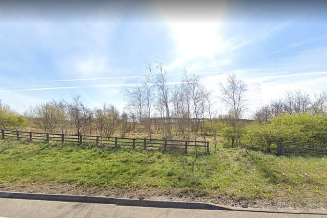 Nearly 150 homes could be built on this land on the edge of Hartlepool.