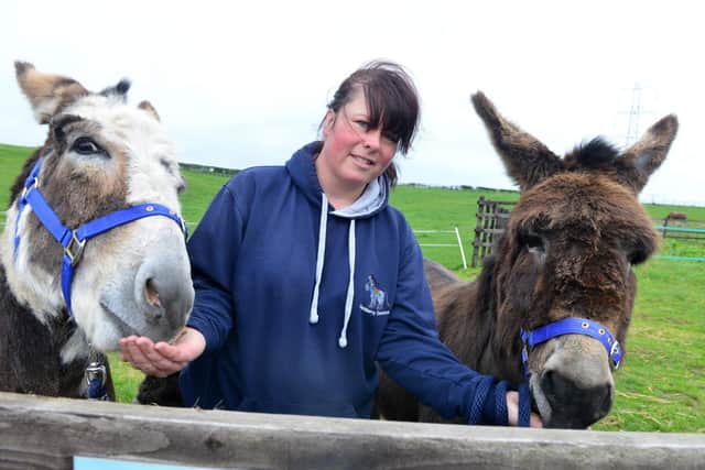 Blackberry Donkeys owner Marie Bates is hoping to expand her donkey hire business.