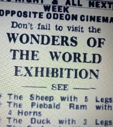 The Wonders of the World exhibition which came to Hartlepool.