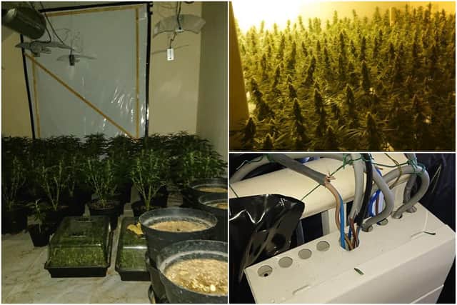 Hundreds of cannabis plants were found inside the address in St Paul's Road, Hartlepool, with dangerous wiring also uncovered during the police search.