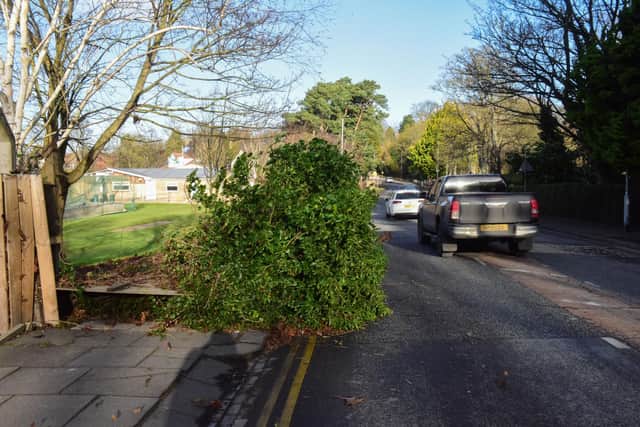 A fence and tree were blown over in Saturdays high winds next to Hartlepool Cricket Ground in Elwick Road, Hartlepool, on Saturday morning.