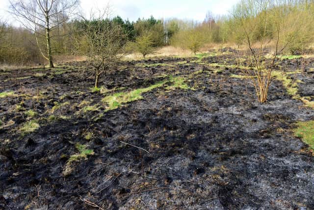 As much as 900 square metres of grass was destroyed at the park in a fire in March.