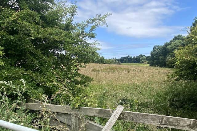 Land earmarked for house building known as South West Extension. Picture by FRANK REID
