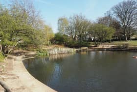 Rossmere Park pond. Picture by FRANK REID